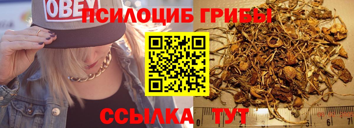 Галлюциногенные грибы GOLDEN TEACHER  Псилоцибиновые грибы Psilocybe  Волжск  где найти наркотики  Вход с VPN 